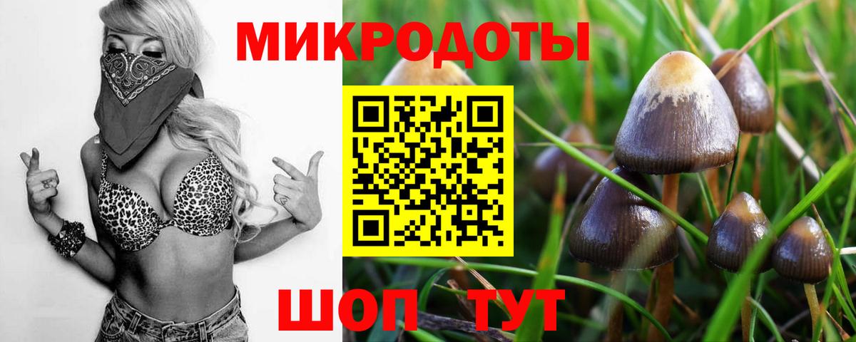 Жигулёвск  Галлюциногенные грибы Psilocybine cubensis  Вход с VPN 